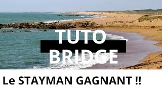 Miniature : Le Stayman gagnant !! #104 Tuto Bridge