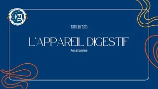 Miniature : ANATOMIE DE L'APPAREIL DIGESTIF - TUTO DU TUTO