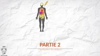 Miniature : UE 2.11 - Les antalgiques : Du palier I au palier III (Partie 1/2)