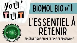 Miniature : 📚YOU’TUT 📚- BIOMOL BIO : Épigénétique en médecine et épigénome