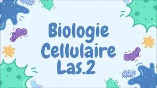 Miniature : Biologie cellulaire L.AS2 - Article 3 : EGFR Sortiline