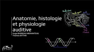 Miniature : Biophysique OS - Audition