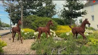 Miniature : QUIBERON  🇲🇫 |  Les Chevaux de la Place Hoche   | TV Quiberon 24/7