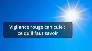 Miniature : Vigilance rouge canicule : ce qu'il faut savoir