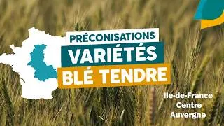 Miniature : Quelles variétés de blé tendre choisir en zone Centre pour les semis 2026 ? - ARVALIS.fr
