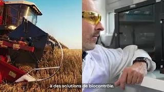 Miniature : Traitement de semences : la lumière comme alternative à la chimie - ARVALIS.fr