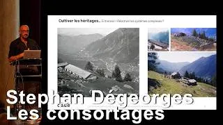 Miniature : #4 Stéphan Dégeorges Les consortages Les bâtiments des ruines ressuscitées indispensables