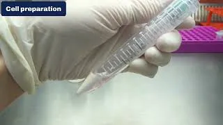 Miniature : Tutoriel ExTransfection™  -  Électroporation en format pipette