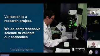 Miniature : Webinaire RES'HIST- Des anticorps chimériques à SignalStar - Solutions CST pour vos immunodétections