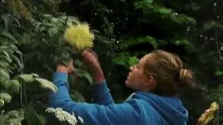 Miniature : Documentaire : "ANAIS S'EN VA-T-EN GUERRE"