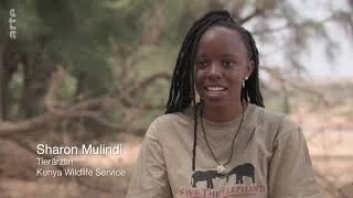 Miniature : Kenya  Au rythme des pluies 4/4   Les coulisses d'un tournage