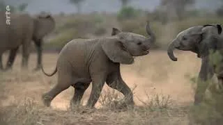 Miniature : Kenya Au rythme des pluies 3/4 Délivrance