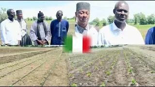 Miniature : Khelcom Rimini : Découvrez l'immense domaine mouride de 48 hectares en Italie