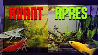 Miniature : Je sauve un aquarium à l'abandon !