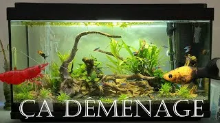 Miniature : Je déménage mon aquarium de 100L !