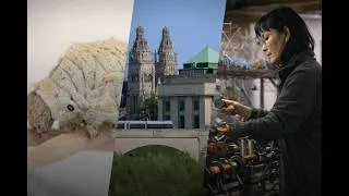 Miniature : Mini-documentaire : la renaissance de la filière soie en Centre-Val de Loire