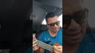 Miniature : accompagnement hula 1