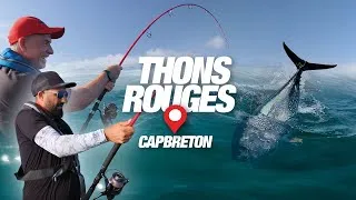 Miniature : Pêche des thons rouges sur chasses au départ de Capbreton