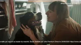 Miniature : Ultra Premium Direct - Film publicitaire chien "Les bêtises"