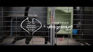 Miniature : Visite au Refuge SPA de Bayonne