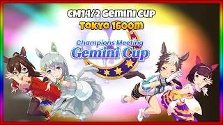 Miniature : Guide CM 14/2 Gemini Cup
