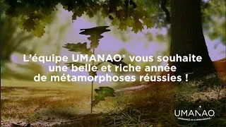 Miniature : VOEUX UMANAO® 2020