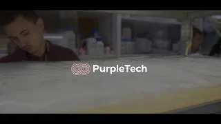 Miniature : PurpleTech : des bactéries pourpres pour inventer la nutrition de demain