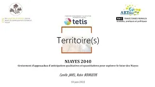 Miniature : Niayes 2040