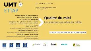 Miniature : Jeudi d'ETTAP : Qualité du miel - Les analyses passées au crible