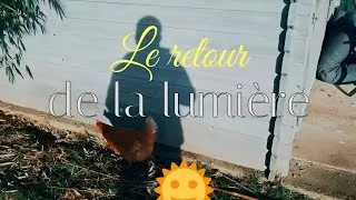 Miniature : Le retour de la lumière.  