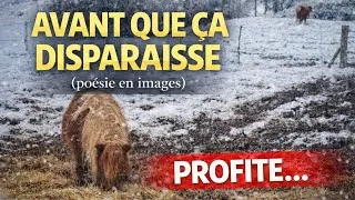 Miniature : Avant que tout ne fonde ( poésie en image)