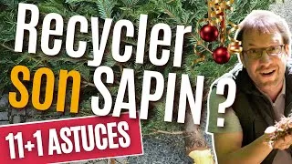 Miniature : Comment Recycler son sapin après Noël ? (11+1 Astuces)