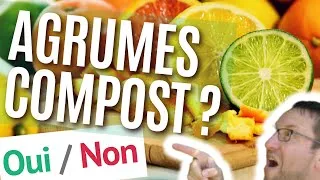 Miniature : Peut-on composter les agrumes ? OUI !