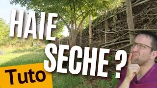 Miniature : comment créer une Haie sèche ou morte et recycler les grosses branches