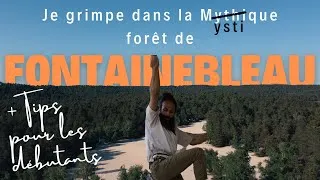 Miniature : Je grimpe dans la mystique forêt de Fontainebleau + Tips pour les débutants
