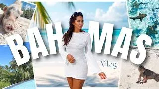 Miniature : 1 SEMAINE AUX BAHAMAS : île aux cochons, iguanes et requins 🐷🦎🦈 (vlog)