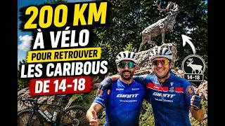 Miniature : 200 KM À VÉLO POUR RETROUVER LES CARIBOUS DE 14 18