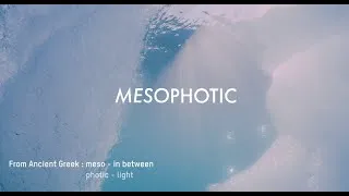 Miniature : MESOPHOTIC