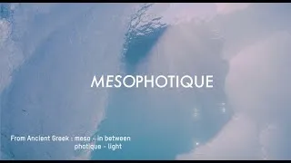 Miniature : MESOPHOTIQUE