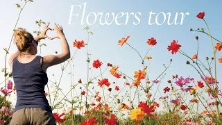 Miniature : 🌸 Flower Tour : les plantes fleuries dans mon jardin 🌿🌼🌷