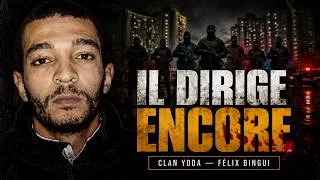 Miniature : Clan Yoda : la fin d’un gang ? | Documentaire