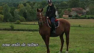 Miniature : Me voilà de retour . . .