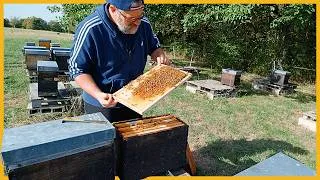 Miniature : C'EST D'LA BISTROUILLE ÇA !  [S10E27]