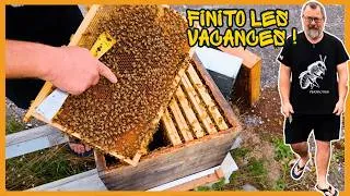 Miniature : Préparation pré-automnale  |S10E25]