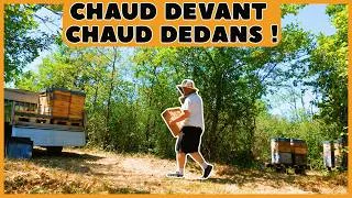 Miniature : Donnez vous à cœur joie !  [S10E23]