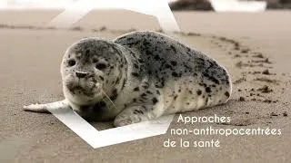 Miniature : [Teaser] Module Médecine et Santé environnementale
