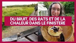 Miniature : Quand la chaleur attire les rats... | Balades dans les monts d'Arrée | Recettes cétogènes en famille