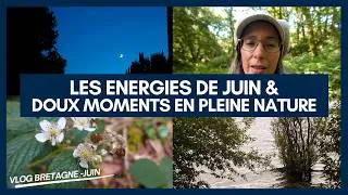 Miniature : Aventures en forêt et énergies de saison.
