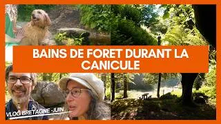 Miniature : Jours de canicule dans les monts d'Arrée