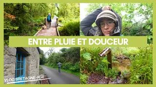 Miniature : Mai en forêt dans les monts d'Arrée - Finistère